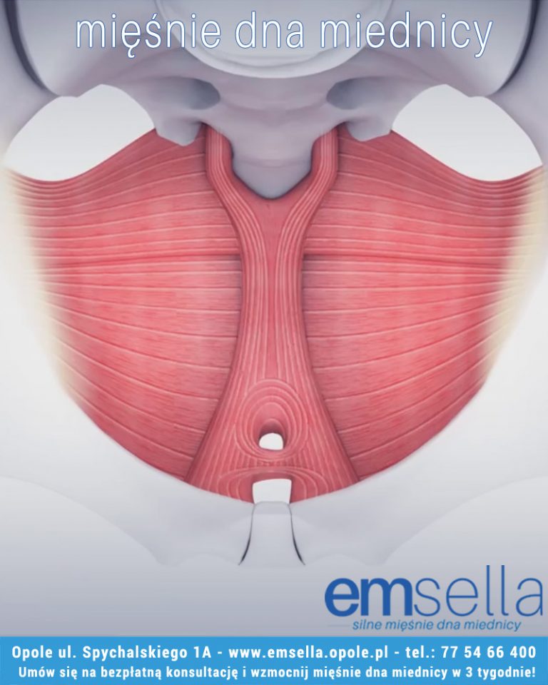 Co to są mięśnie dna miednicy?